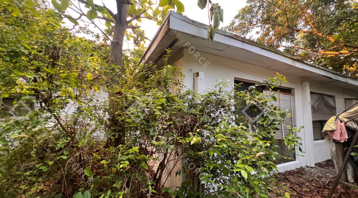 Photo Mar 26 2026, 07 38 05