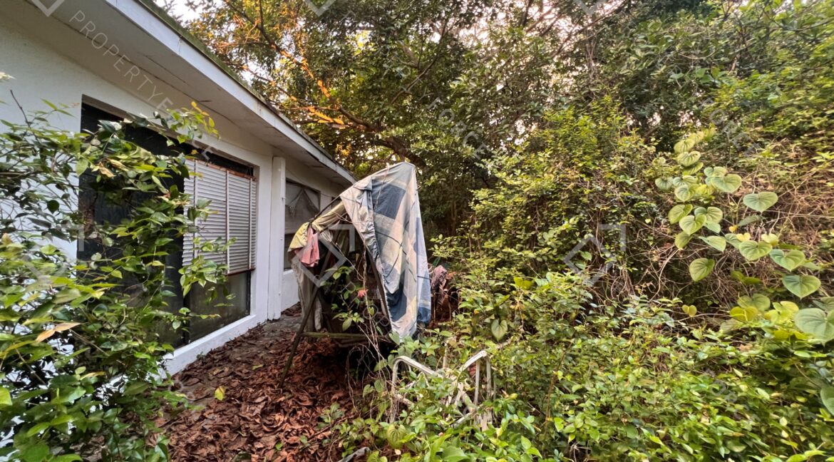 Photo Mar 26 2026, 07 38 07