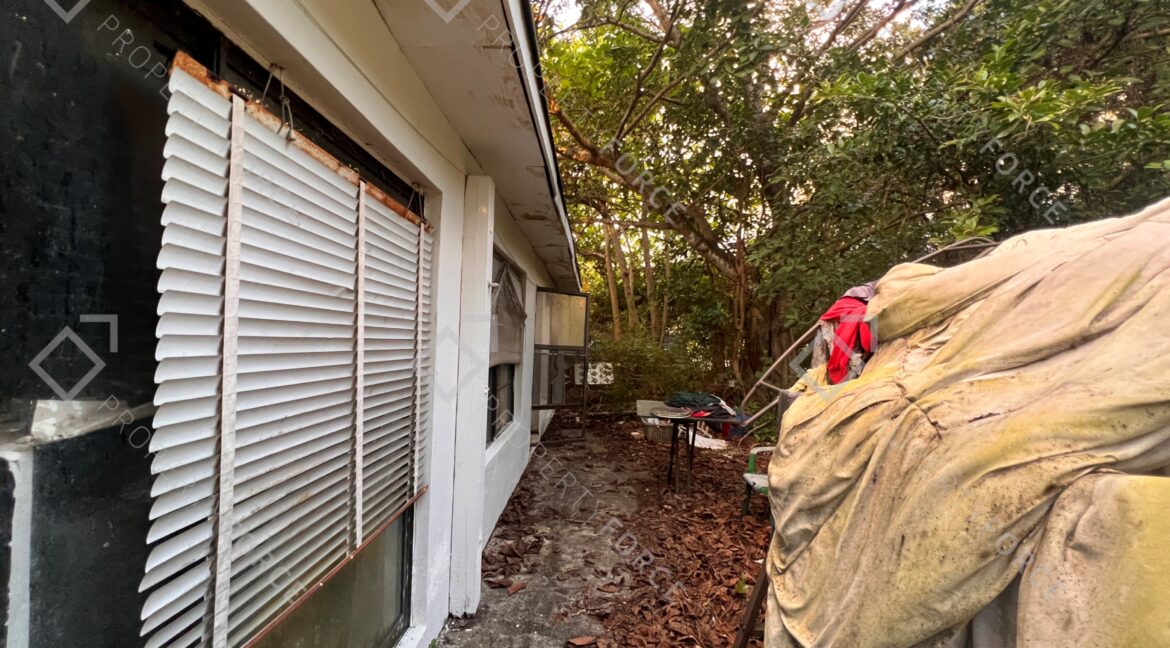 Photo Mar 26 2026, 07 38 14