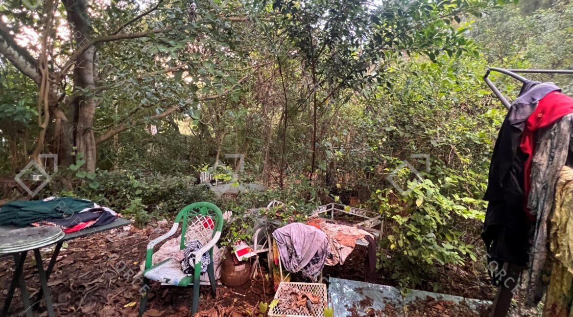 Photo Mar 26 2026, 07 38 19