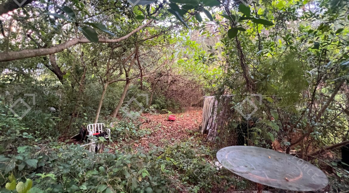 Photo Mar 26 2026, 07 38 27