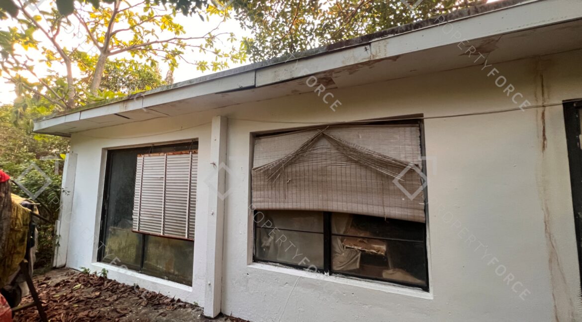 Photo Mar 26 2026, 07 38 37