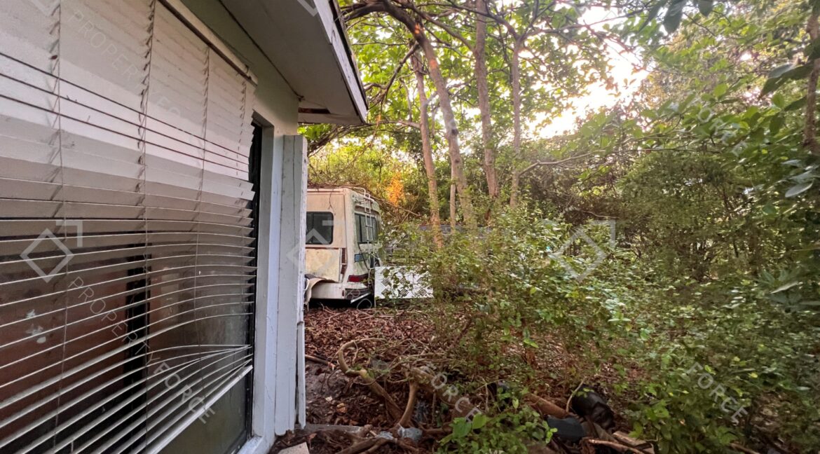 Photo Mar 26 2026, 07 38 44