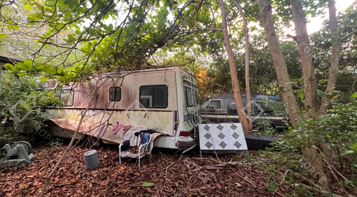 Photo Mar 26 2026, 07 38 51