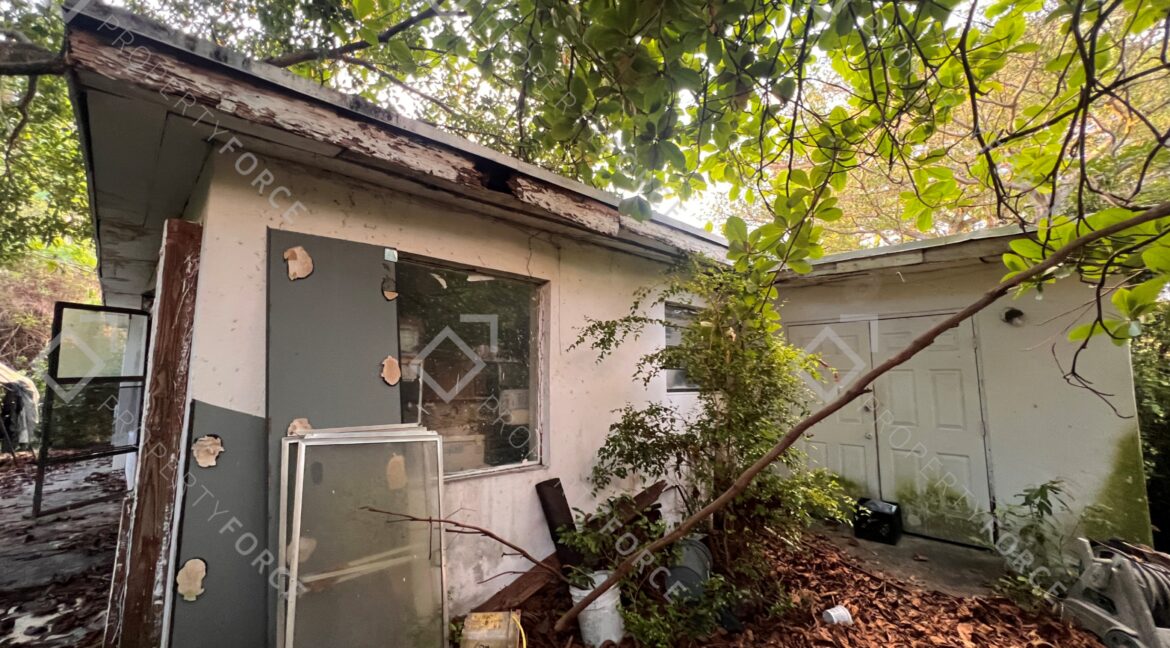 Photo Mar 26 2026, 07 39 00