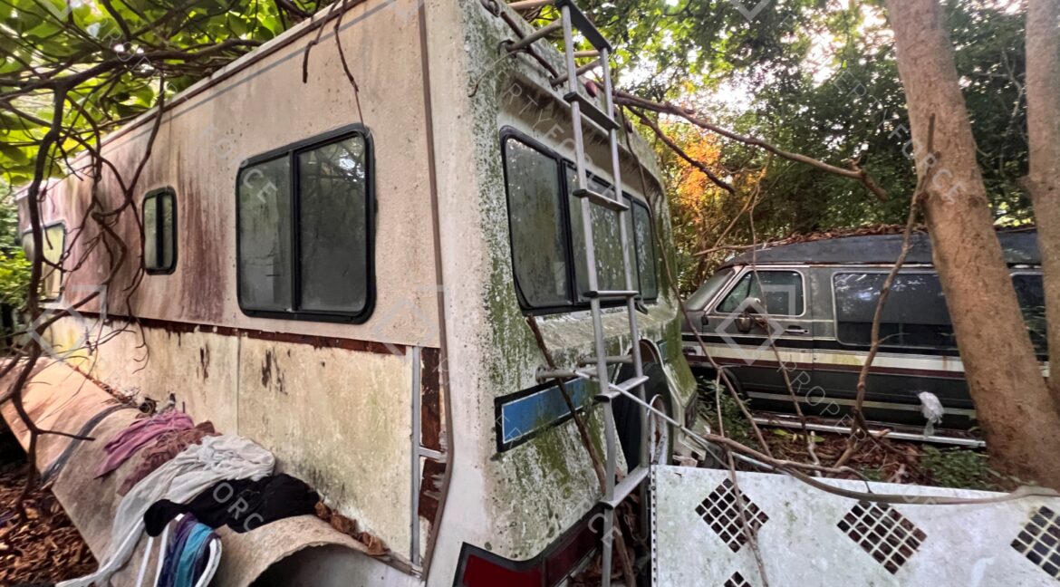 Photo Mar 26 2026, 07 39 05