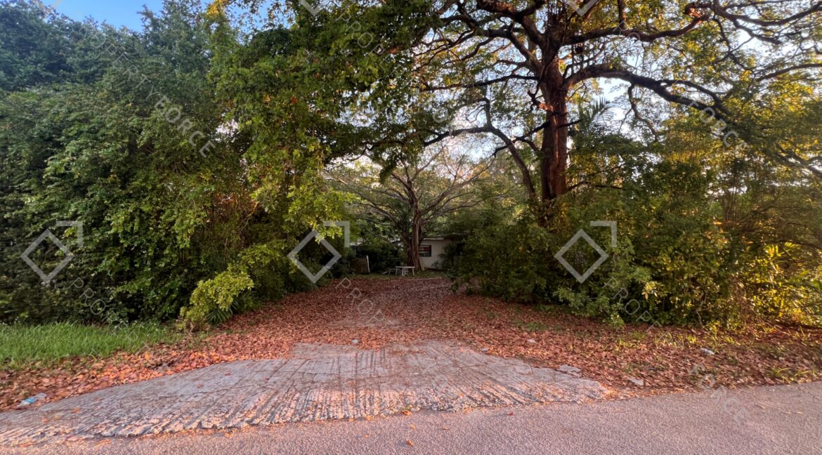 Photo Mar 26 2026, 07 43 17