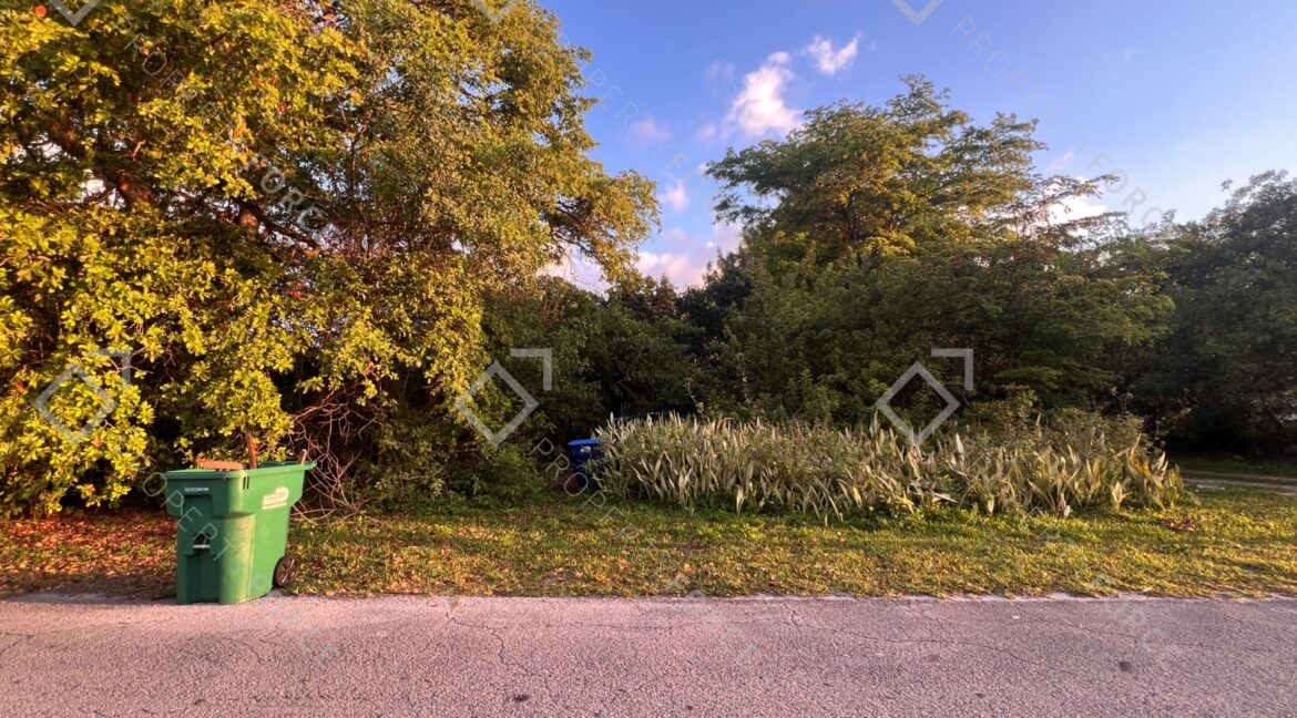 Photo Mar 26 2026, 07 43 27