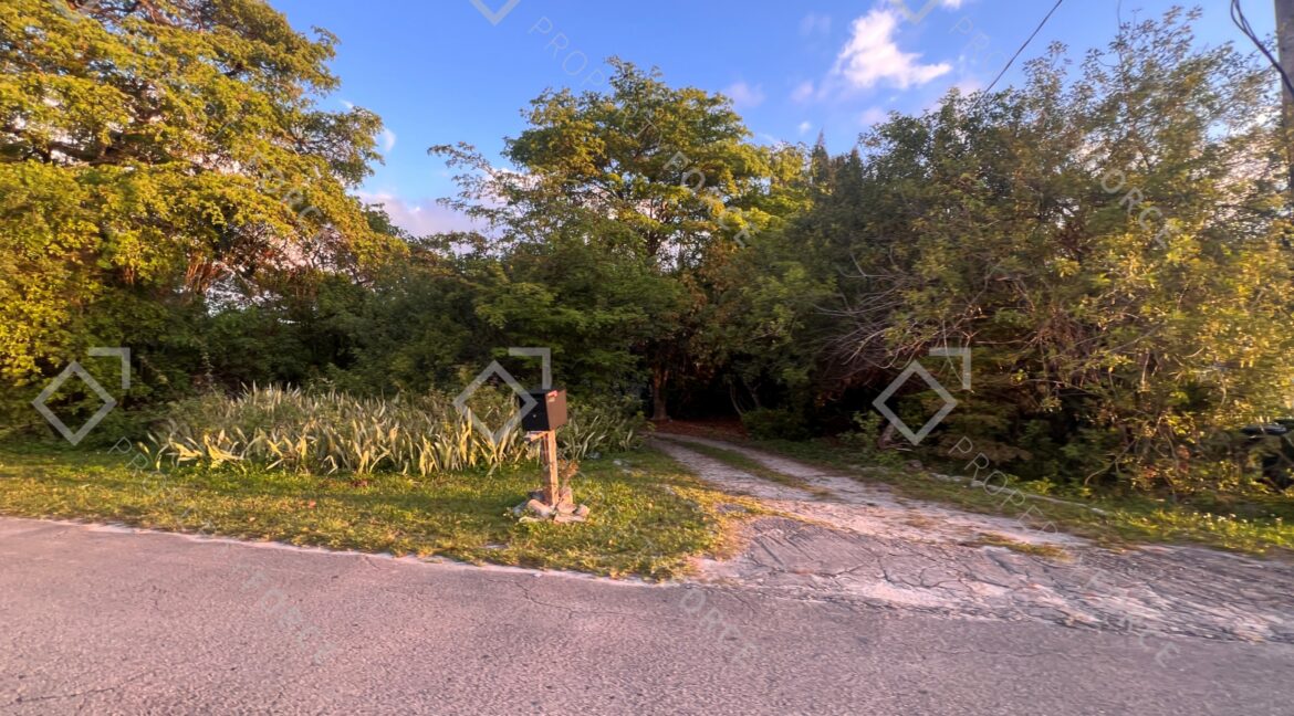 Photo Mar 26 2026, 07 43 32