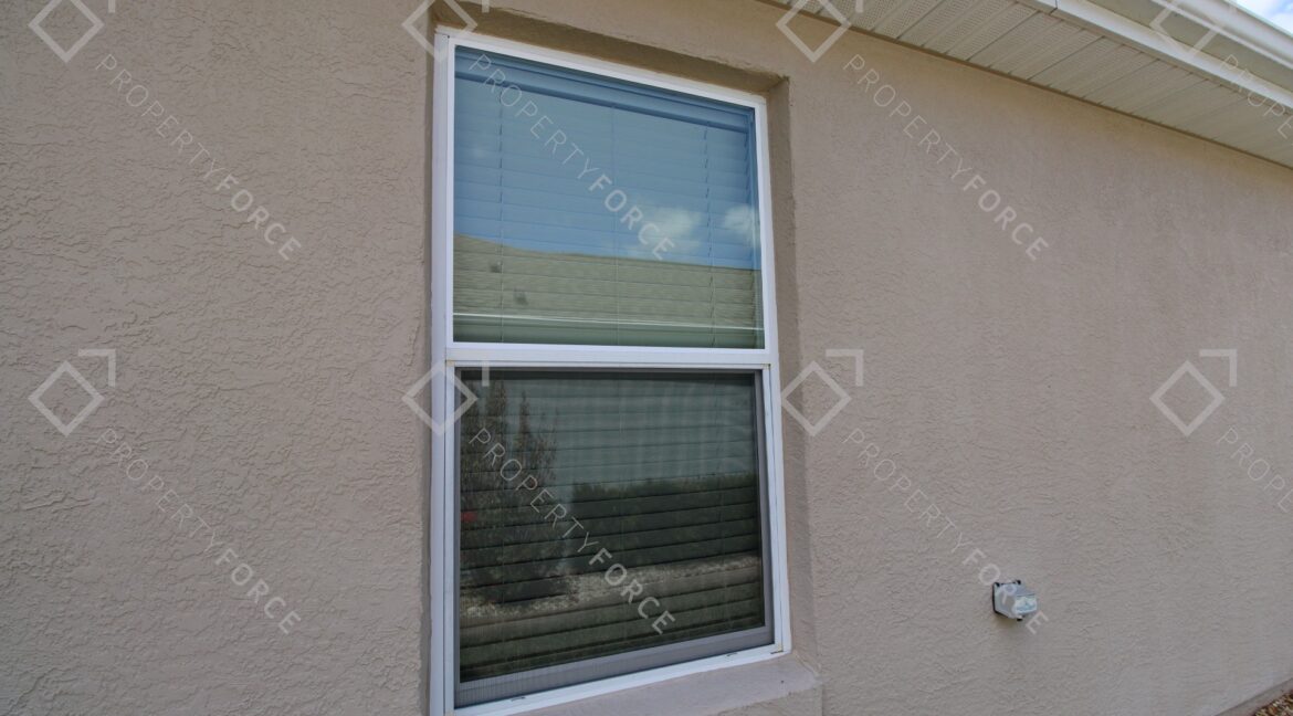 Windows