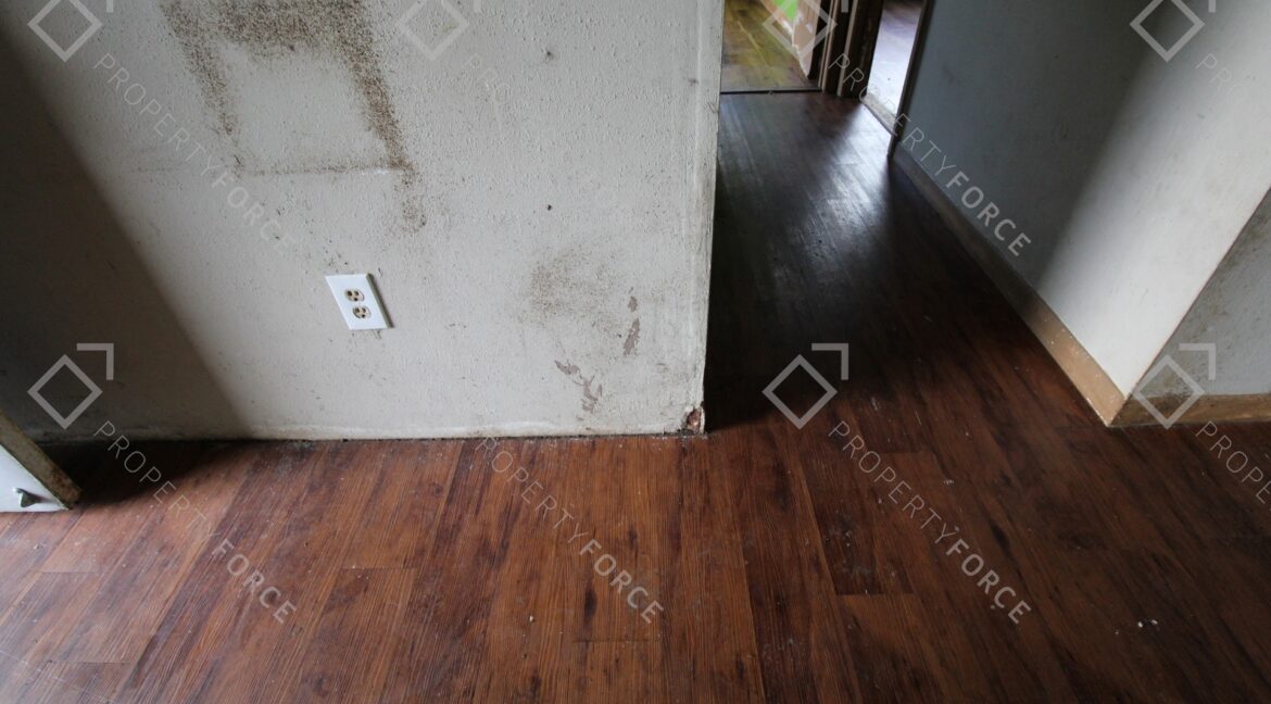 12390 Elgin Blvd, Spring Hill, FL 34609 (19)