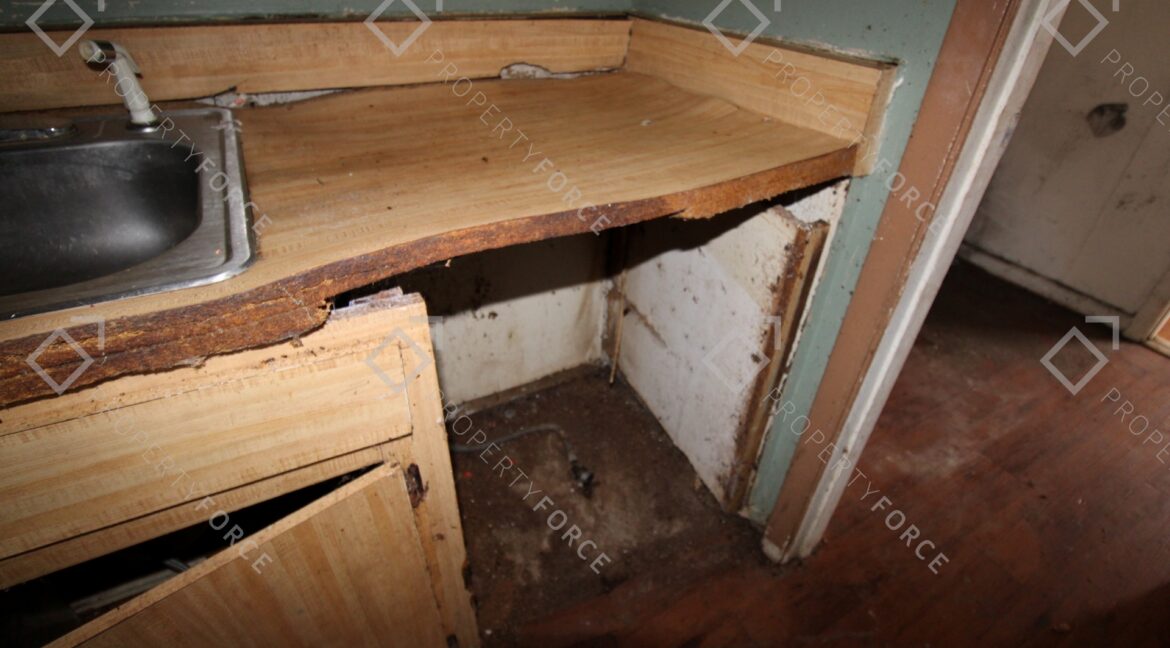 12390 Elgin Blvd, Spring Hill, FL 34609 (24)