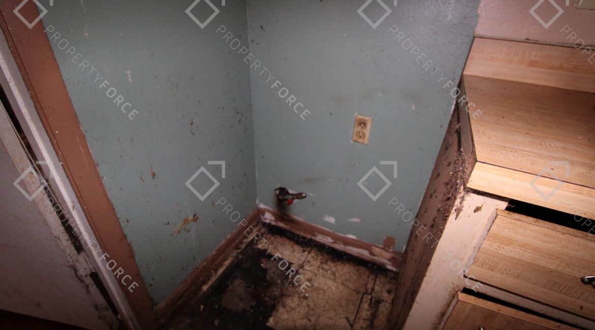 12390 Elgin Blvd, Spring Hill, FL 34609 (25)