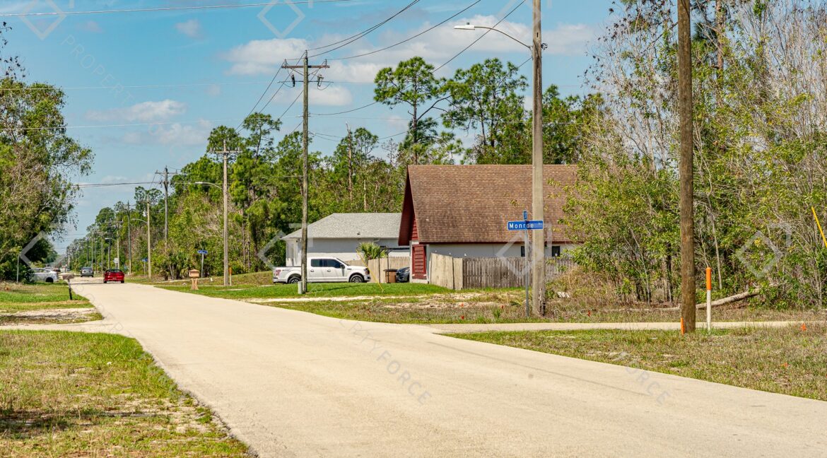 20260411-_DSC0910