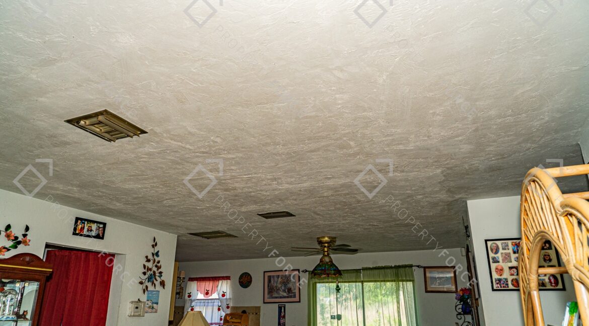20260411-_DSC0976