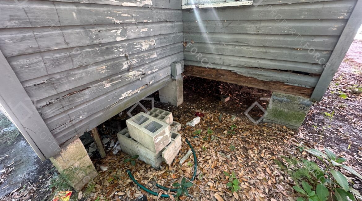 Photo Apr 04 2026, 11 56 47 AM