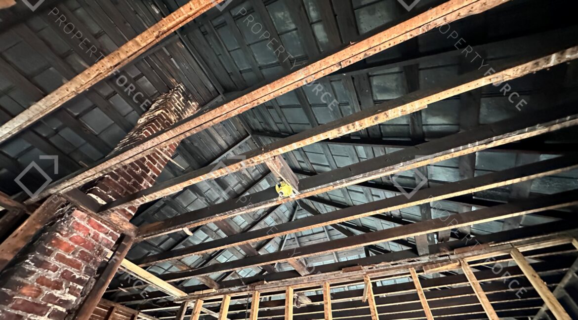 Photo Apr 04 2026, 12 09 31 PM