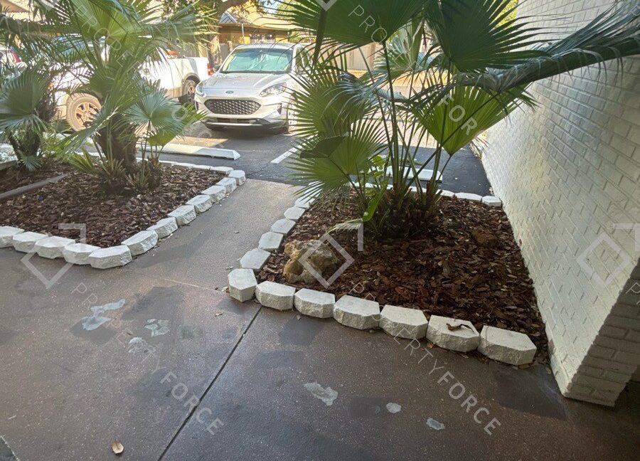 Take_photos_of_the_driveway3