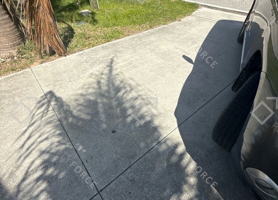 Take_photos_of_the_driveway5