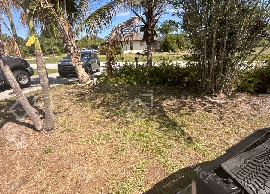 Take_photos_of_the_landscaping11
