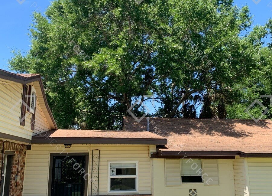 Provide_photos_of_the_roof36