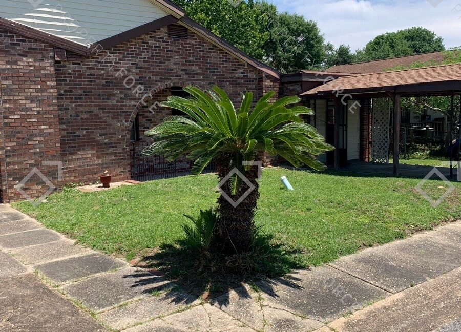 Take_photos_of_the_landscaping19