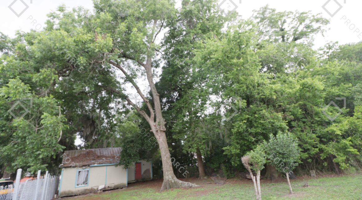 1005 SW 2nd St Ocala (39)
