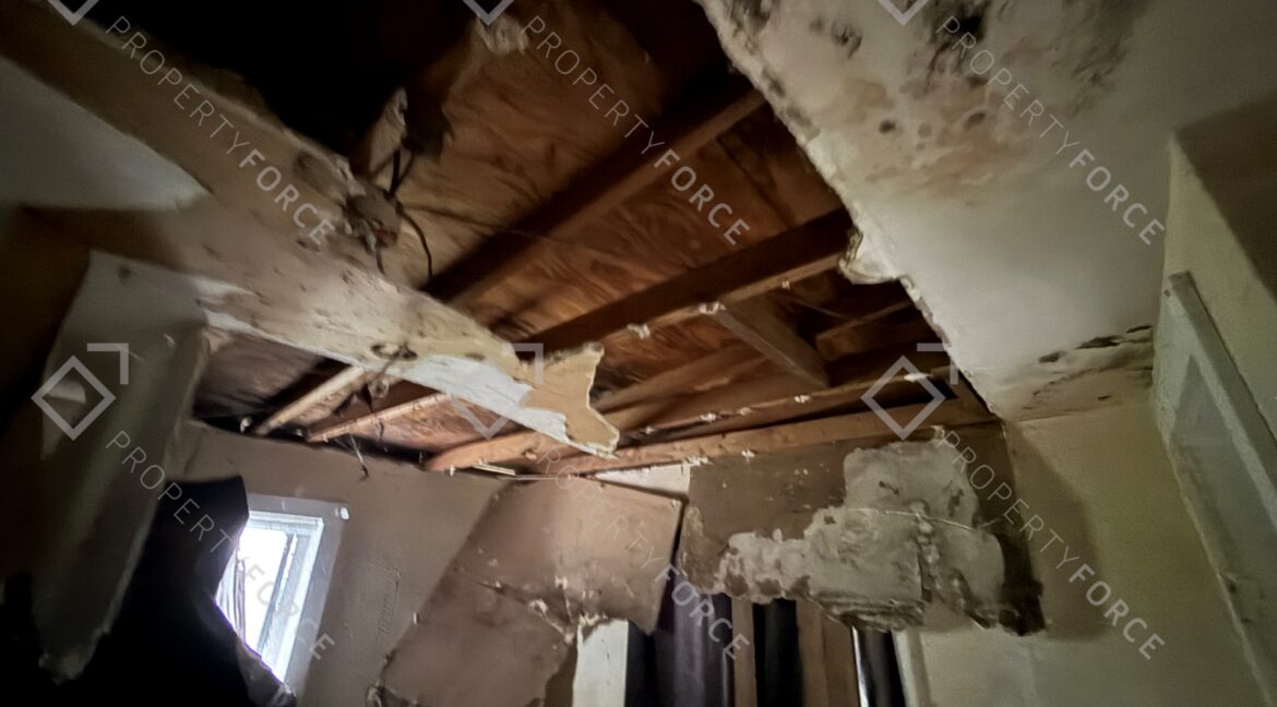 1005 SW 2nd St Ocala, FL 34471 (49)