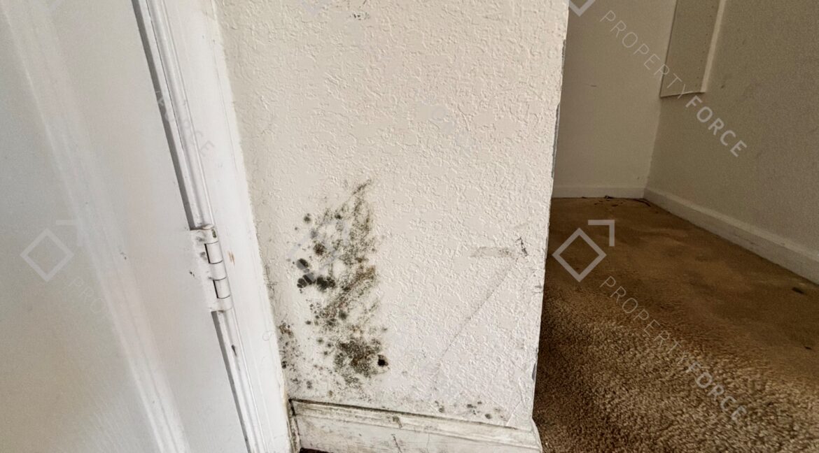 102 S Santa Catalina Cir North Lauderdale, FL 33068 (75)