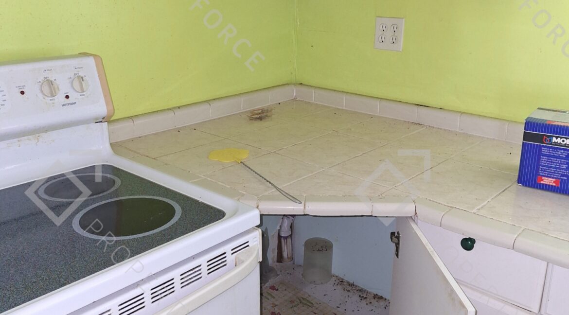2052 Bradway St NE Palm Bay, FL 32905 (50)