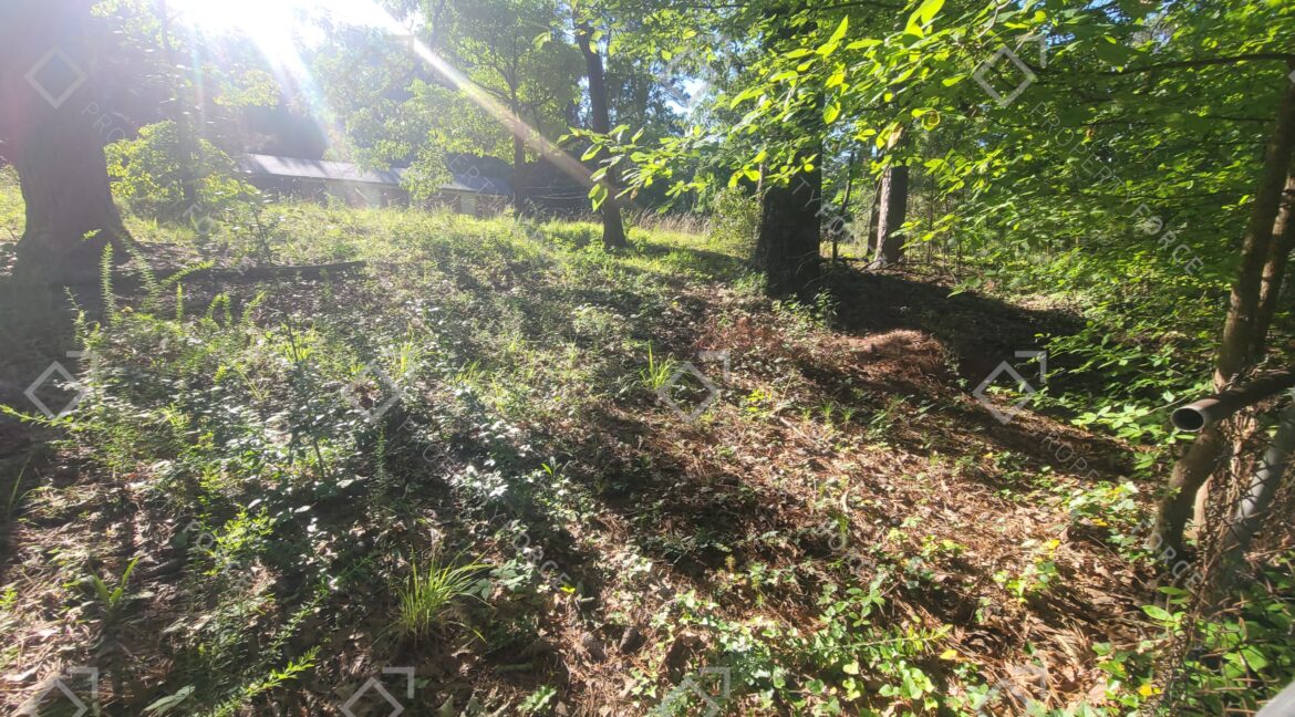 4448 Tell Rd SW, Atlanta, GA 30331 (30)