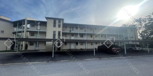 5245 Amulet Dr #208 New Port Richey, FL 34652