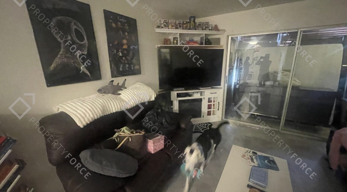 5245 Amulet Dr #208 New Port Richey, FL 34652- (27)