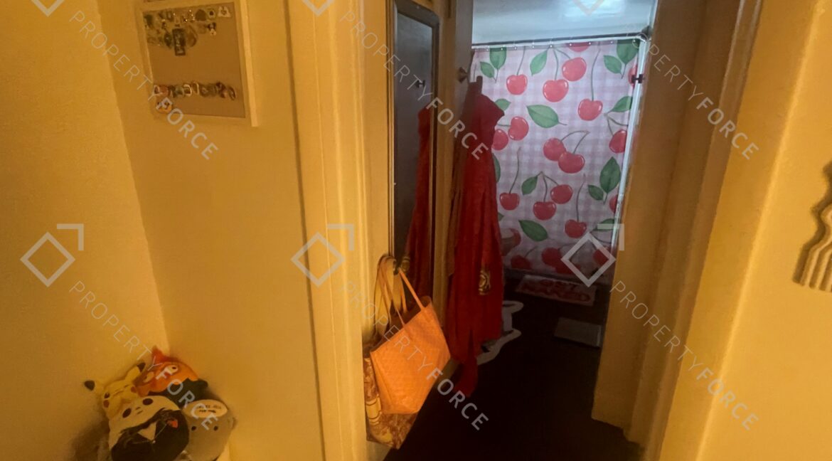 5245 Amulet Dr #208 New Port Richey, FL 34652- (42)