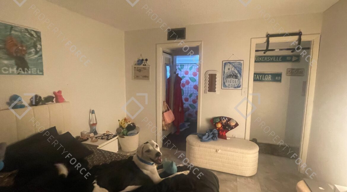 5245 Amulet Dr #208 New Port Richey, FL 34652- (43)