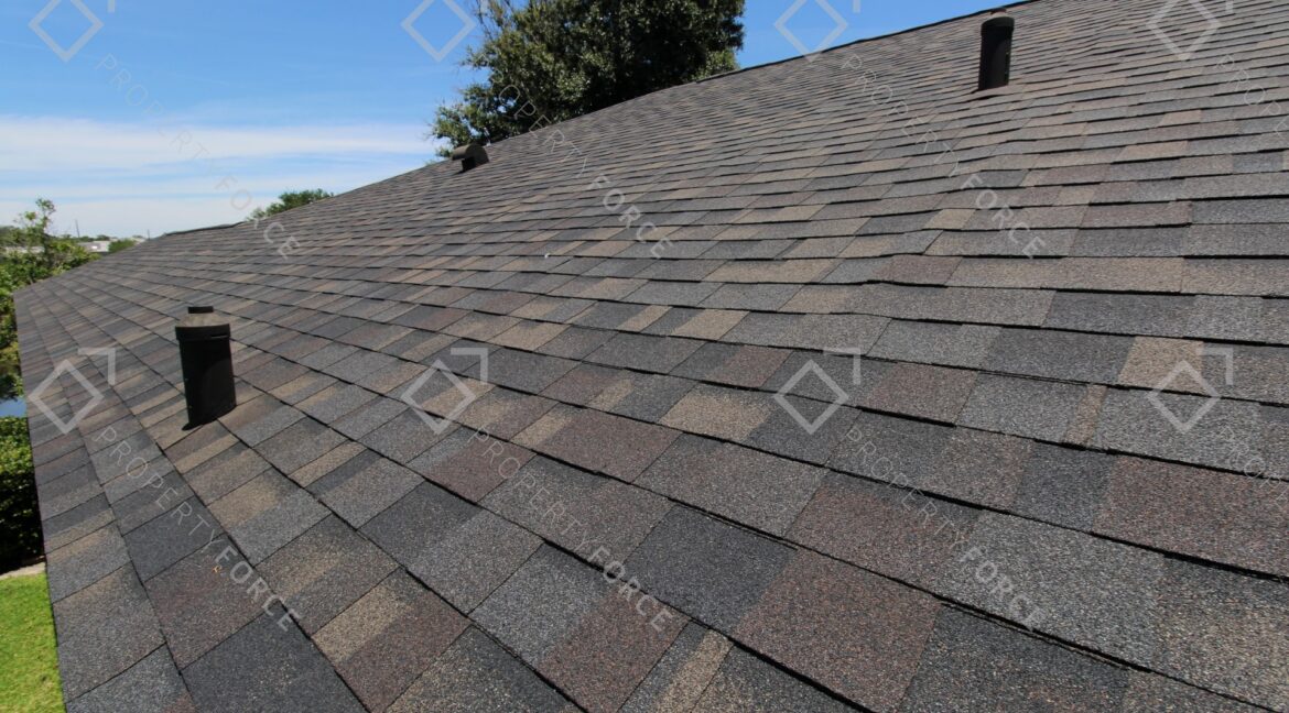 7830 Harbor Bridge Blvd New Port Richey, FL 34654 (66)
