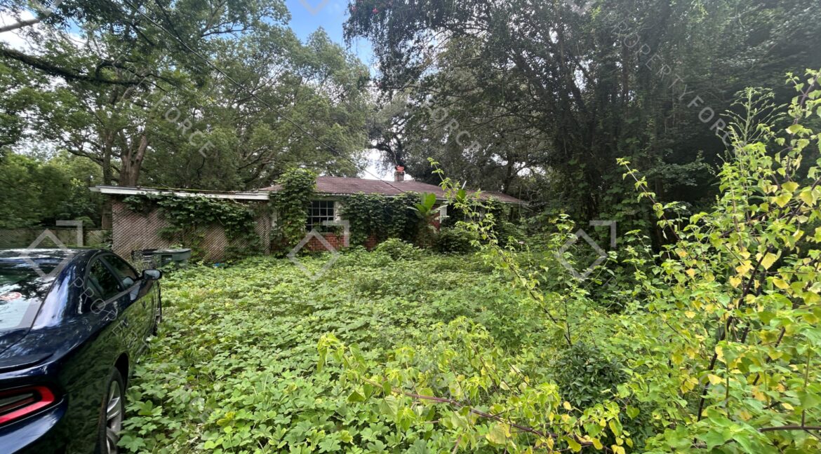 1675 Pepper Dr, Tallahassee, FL 32304 (2)