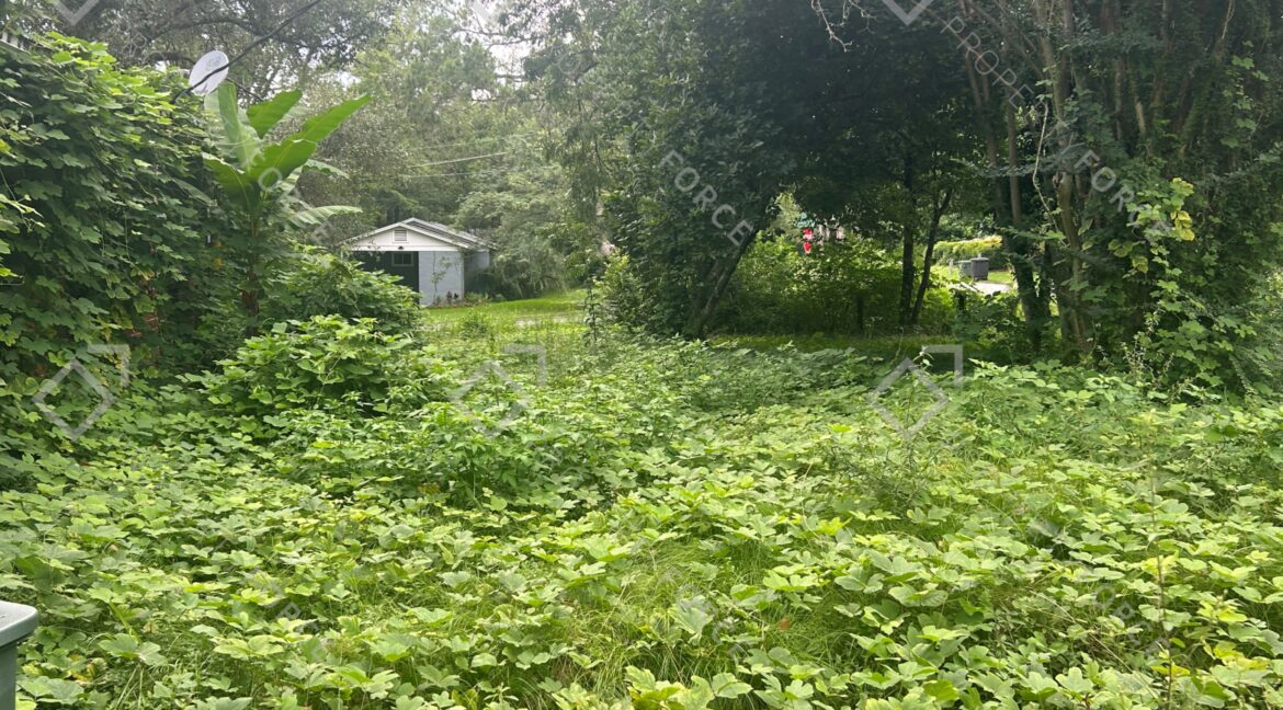 1675 Pepper Dr, Tallahassee, FL 32304 (6)