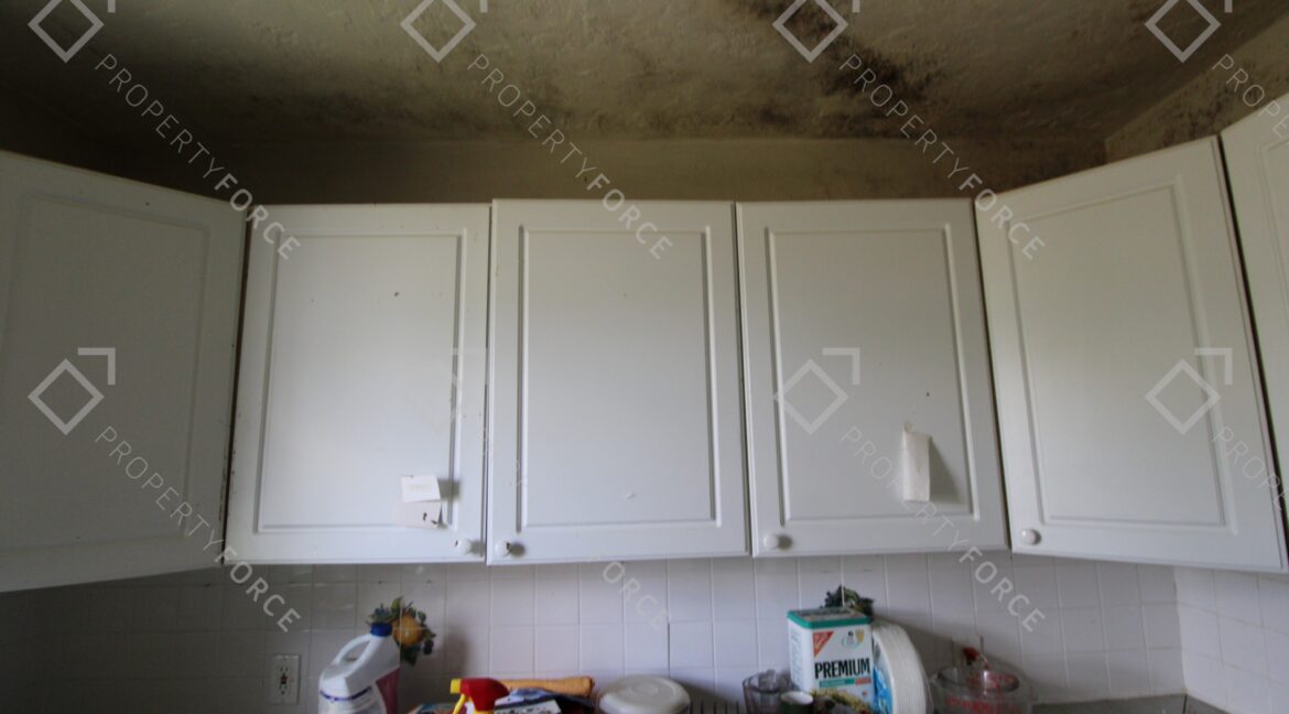 4936 4th Ave N, Saint Petersburg, FL 33710 (20)