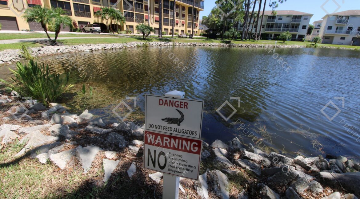 5775 Park St N APT 402, Saint Petersburg, FL 33709 (18)