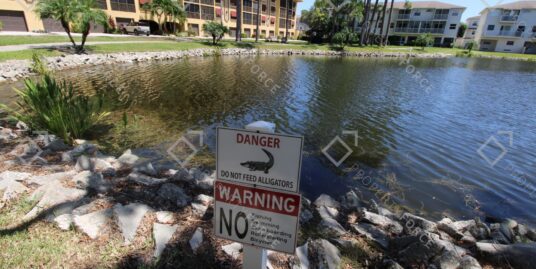 5775 Park St N APT 402, Saint Petersburg, FL 33709