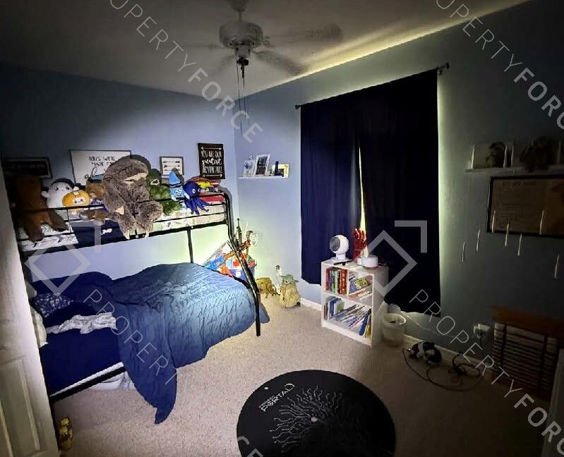 29