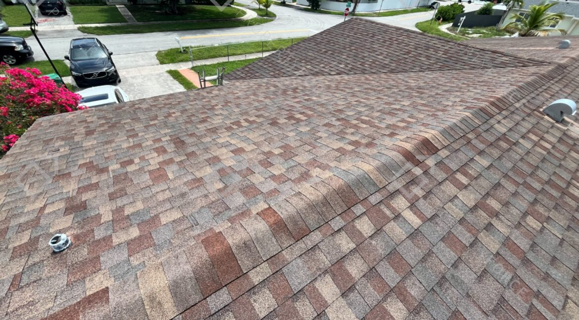 IMG_2528