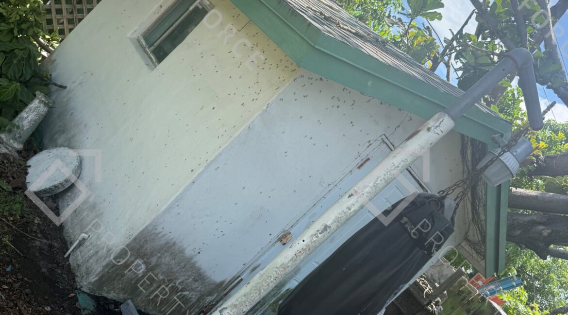 1020 NE 212- Shed