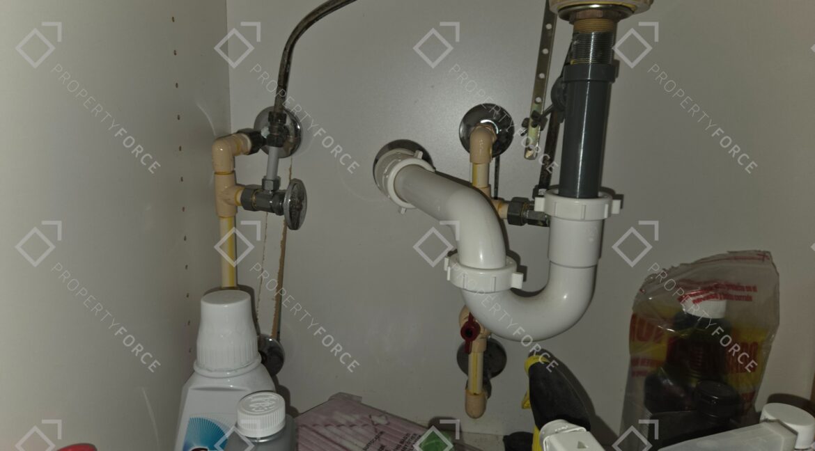1420 NW 16th Ter Cape Coral (64)