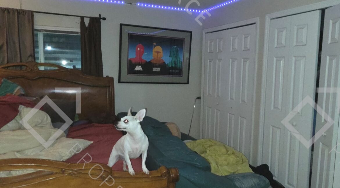1420 NW 16th Ter Cape Coral (74)